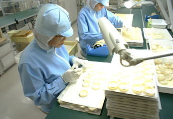 検品項目について